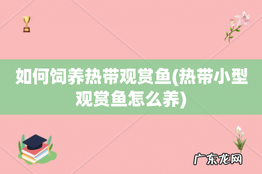 热带小型观赏鱼怎么养 如何饲养热带观赏鱼