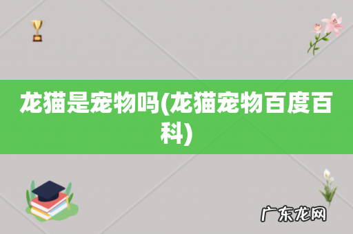 龙猫宠物百度百科 龙猫是宠物吗