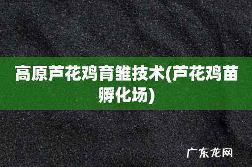 芦花鸡苗孵化场 高原芦花鸡育雏技术