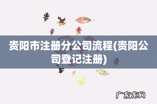 贵阳公司登记注册 贵阳市注册分公司流程