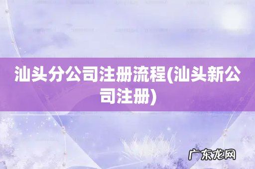 汕头新公司注册 汕头分公司注册流程