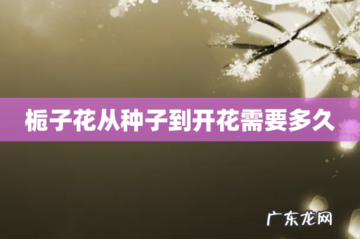 栀子花从种子到开花需要多久