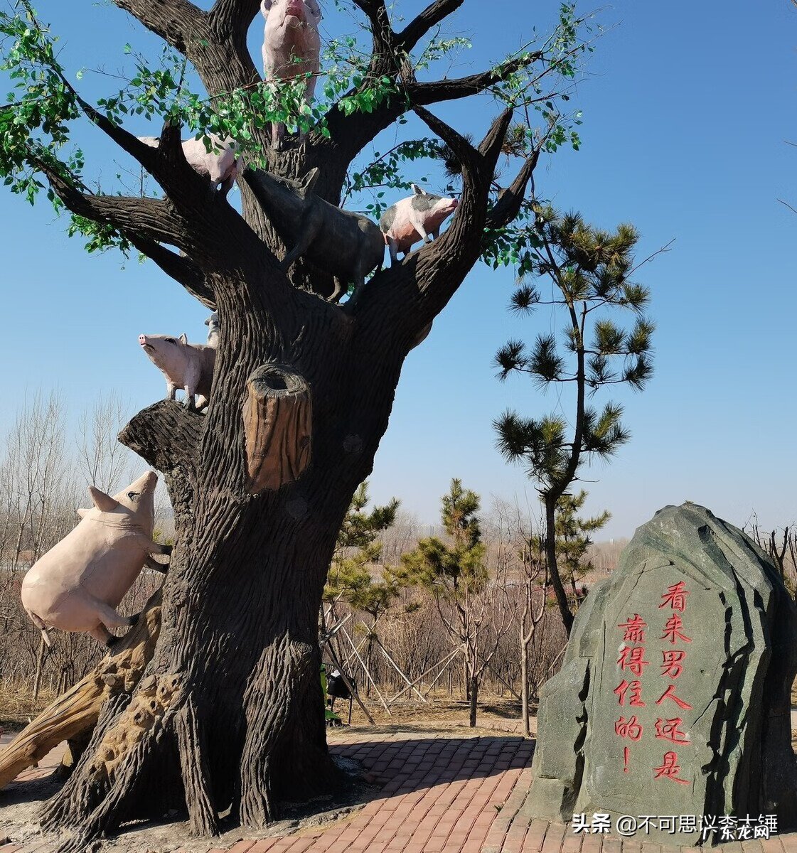 中国古代风水学 中国古代风水学家