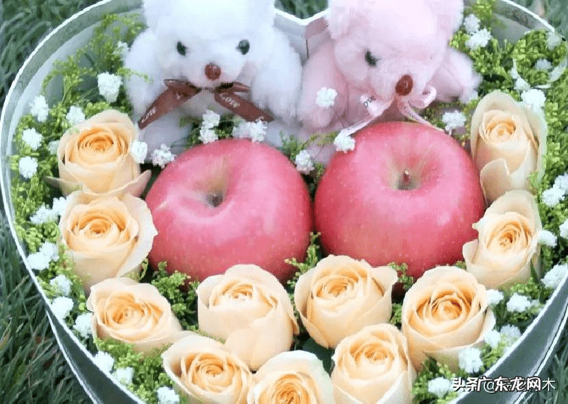 风水三个门相冲好不好 有哪些植物风水相冲