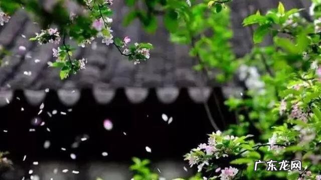 风水三个门相冲好不好 有哪些植物风水相冲