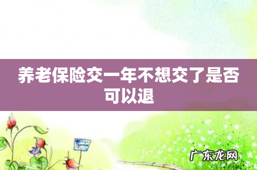 养老保险交一年不想交了是否可以退