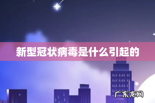 新型冠状病毒是什么引起的