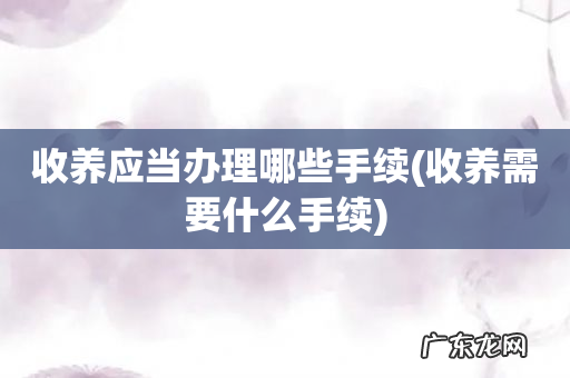收养需要什么手续 收养应当办理哪些手续