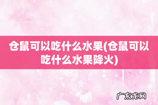 仓鼠可以吃什么水果降火 仓鼠可以吃什么水果