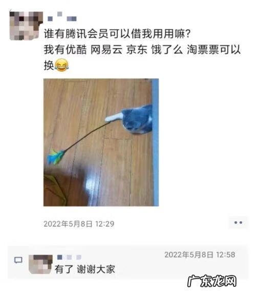 账号免费 免费帐号和密码