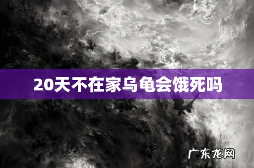 20天不在家乌龟会饿死吗