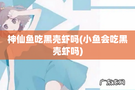 小鱼会吃黑壳虾吗 神仙鱼吃黑壳虾吗