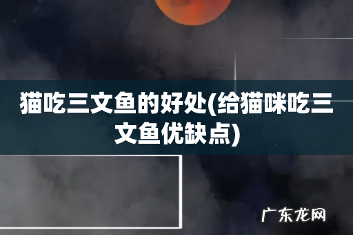 给猫咪吃三文鱼优缺点 猫吃三文鱼的好处