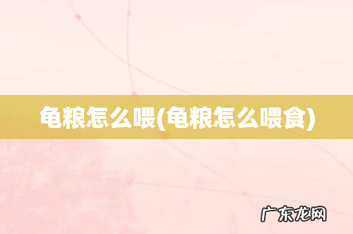 龟粮怎么喂食 龟粮怎么喂