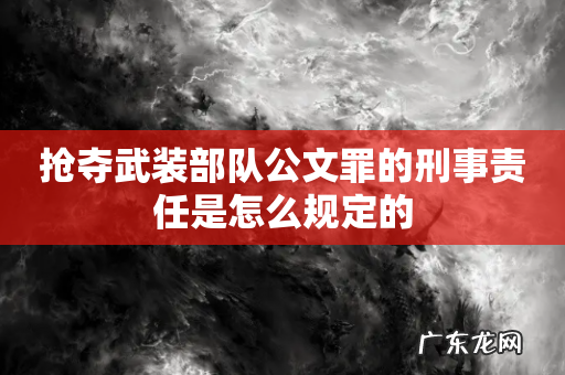 抢夺武装部队公文罪的刑事责任是怎么规定的