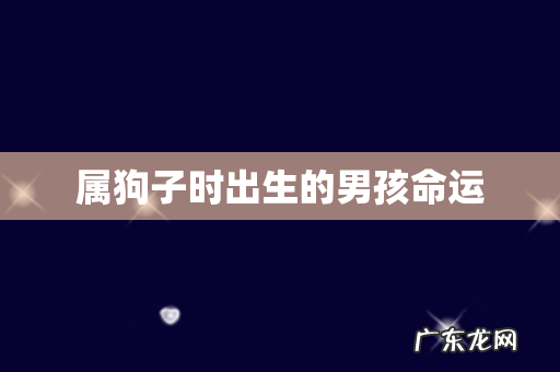 属狗子时出生的男孩命运