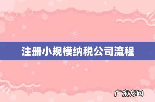 注册小规模纳税公司流程