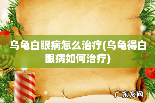 乌龟得白眼病如何治疗 乌龟白眼病怎么治疗