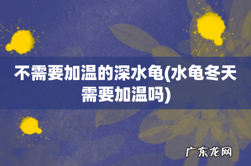 水龟冬天需要加温吗 不需要加温的深水龟