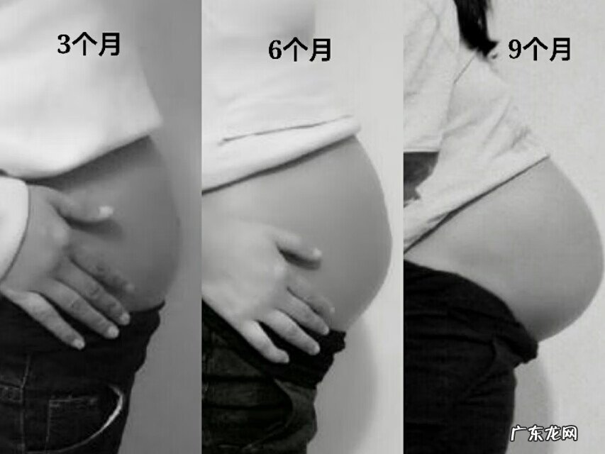 怀孕三个月真实图片 怀孕3个月胎儿图片