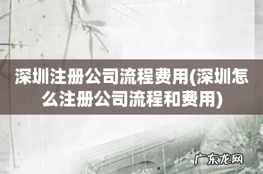 深圳怎么注册公司流程和费用 深圳注册公司流程费用