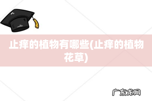 止痒的植物花草 止痒的植物有哪些