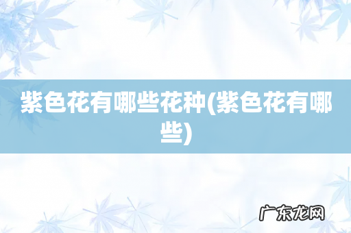 紫色花有哪些 紫色花有哪些花种