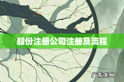 股份注册公司注册及流程