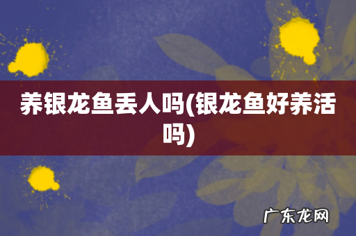 银龙鱼好养活吗 养银龙鱼丢人吗