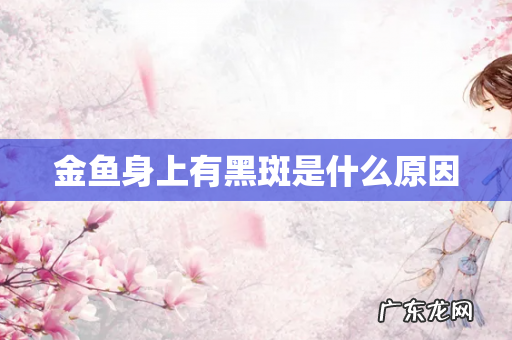金鱼身上有黑斑是什么原因