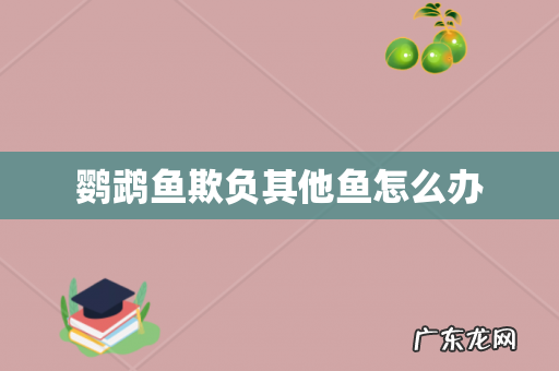 鹦鹉鱼欺负其他鱼怎么办