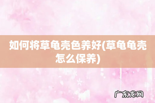 草龟龟壳怎么保养 如何将草龟壳色养好