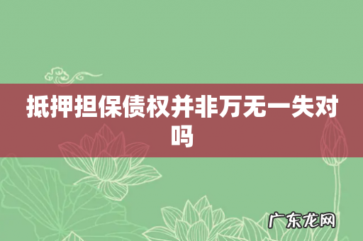 抵押担保债权并非万无一失对吗