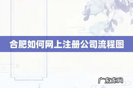 合肥如何网上注册公司流程图