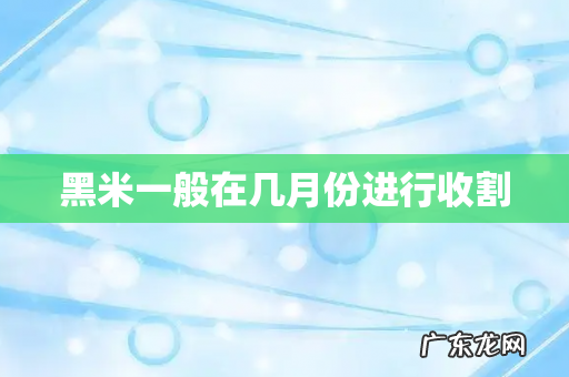 黑米一般在几月份进行收割