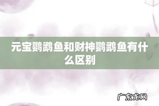 元宝鹦鹉鱼和财神鹦鹉鱼有什么区别