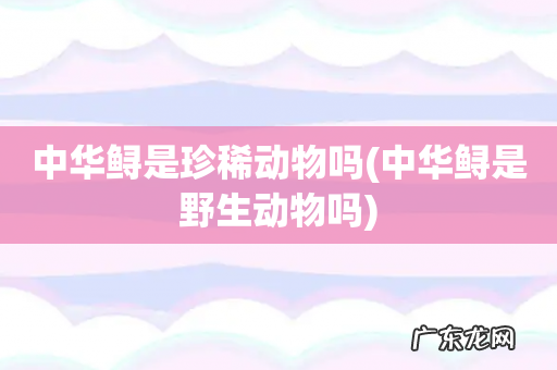 中华鲟是野生动物吗 中华鲟是珍稀动物吗