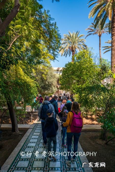 摩尔庄园高级建筑师任务