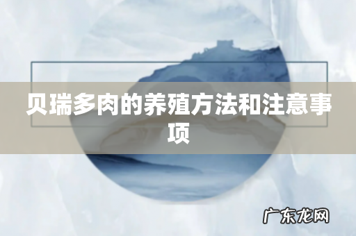 贝瑞多肉的养殖方法和注意事项