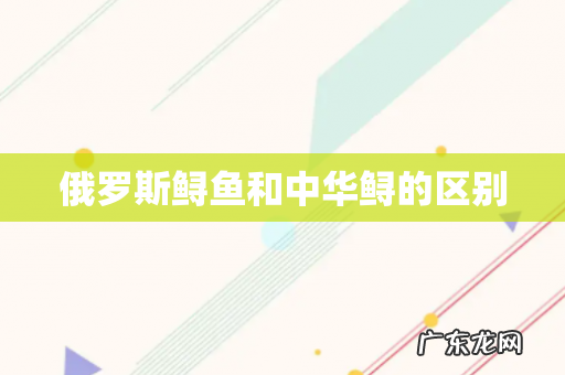 俄罗斯鲟鱼和中华鲟的区别