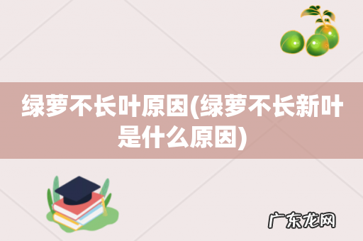 绿萝不长新叶是什么原因 绿萝不长叶原因