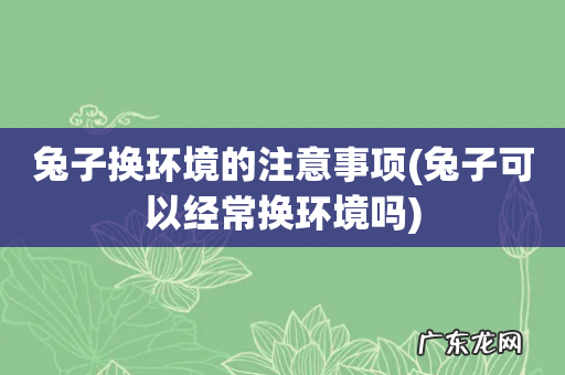 兔子可以经常换环境吗 兔子换环境的注意事项