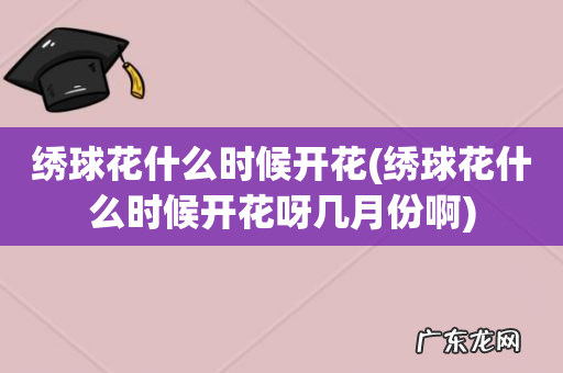 绣球花什么时候开花呀几月份啊 绣球花什么时候开花