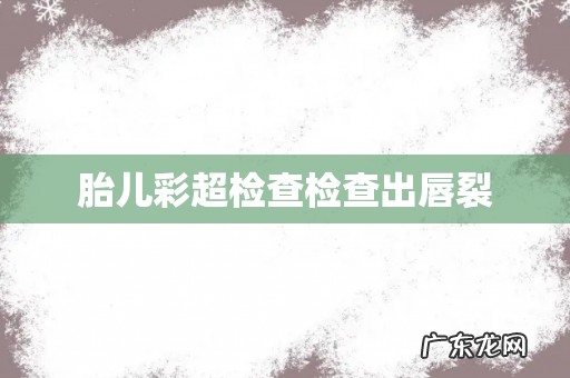 胎儿彩超检查检查出唇裂