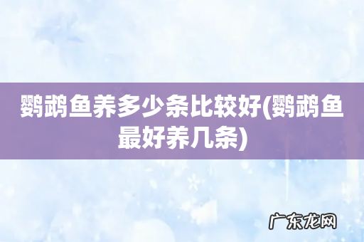 鹦鹉鱼最好养几条 鹦鹉鱼养多少条比较好