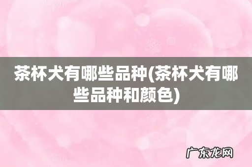 茶杯犬有哪些品种和颜色 茶杯犬有哪些品种