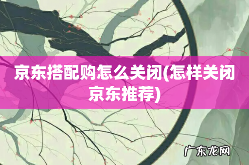 怎样关闭京东推荐 京东搭配购怎么关闭