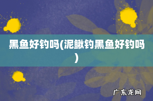 泥鳅钓黑鱼好钓吗 黑鱼好钓吗