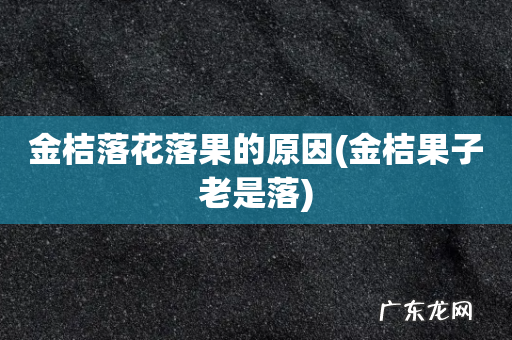 金桔果子老是落 金桔落花落果的原因