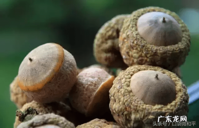 4大壮阳水果 壮阳果的别名叫什么